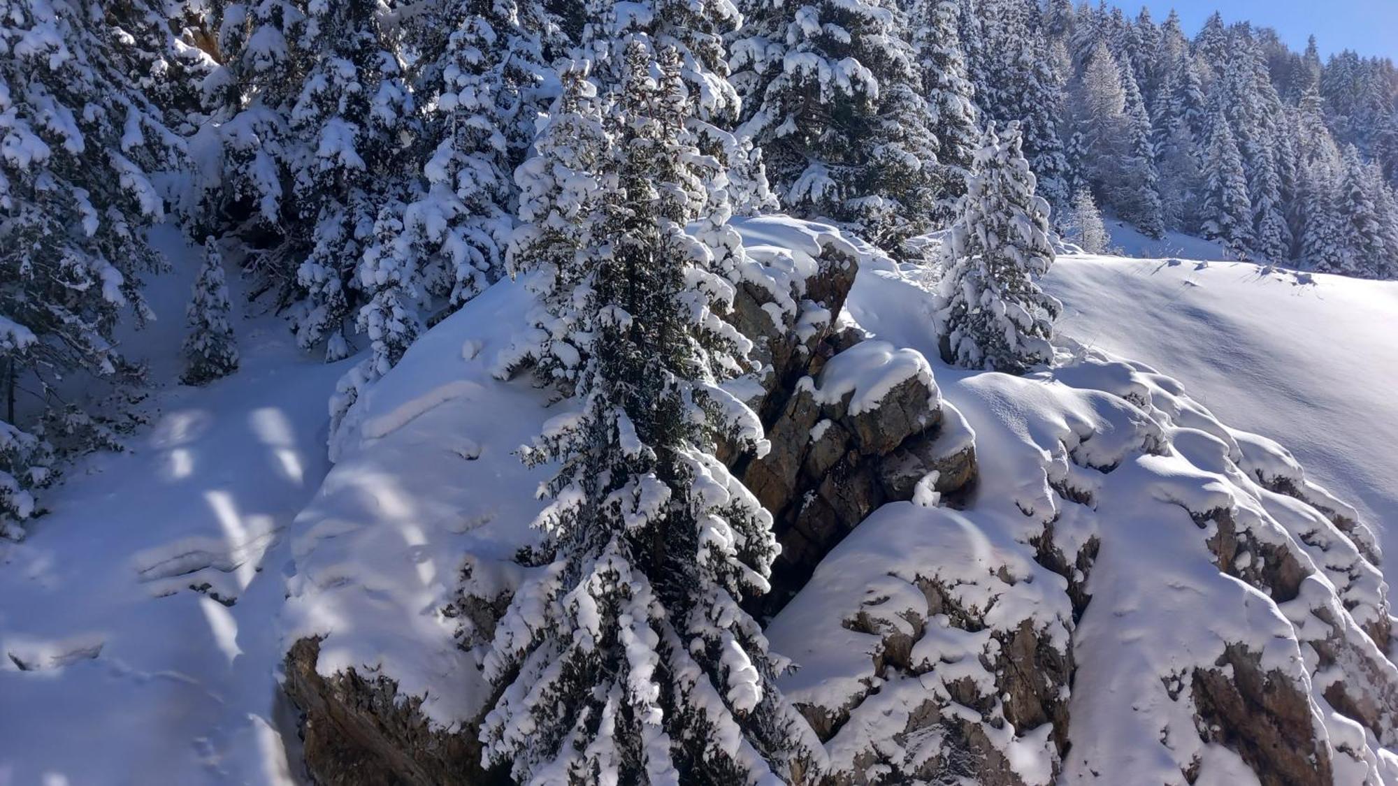 Plagne Bellecote Apartments ラ・プラーニュ エクステリア 写真